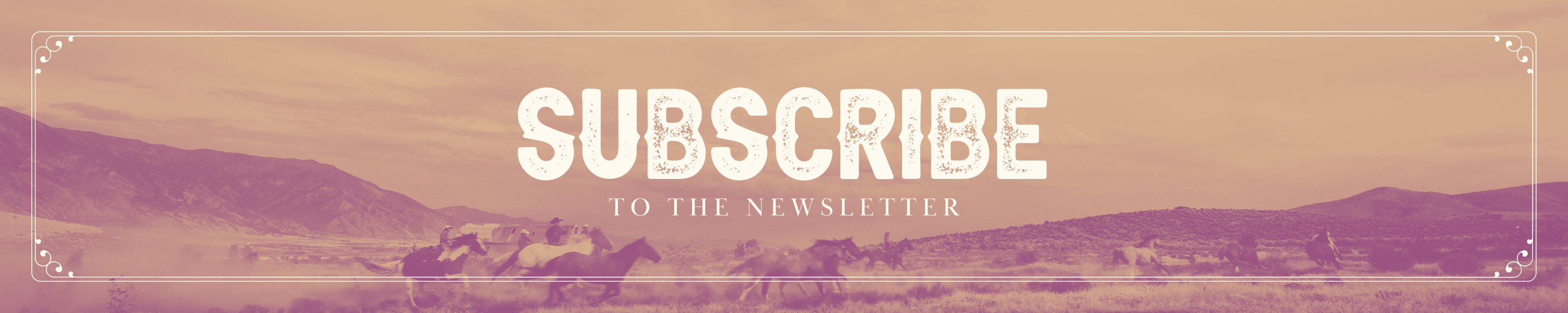 Subscribe to the Newsletter header image